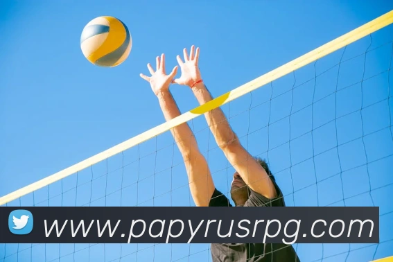 pg官网平台生态图